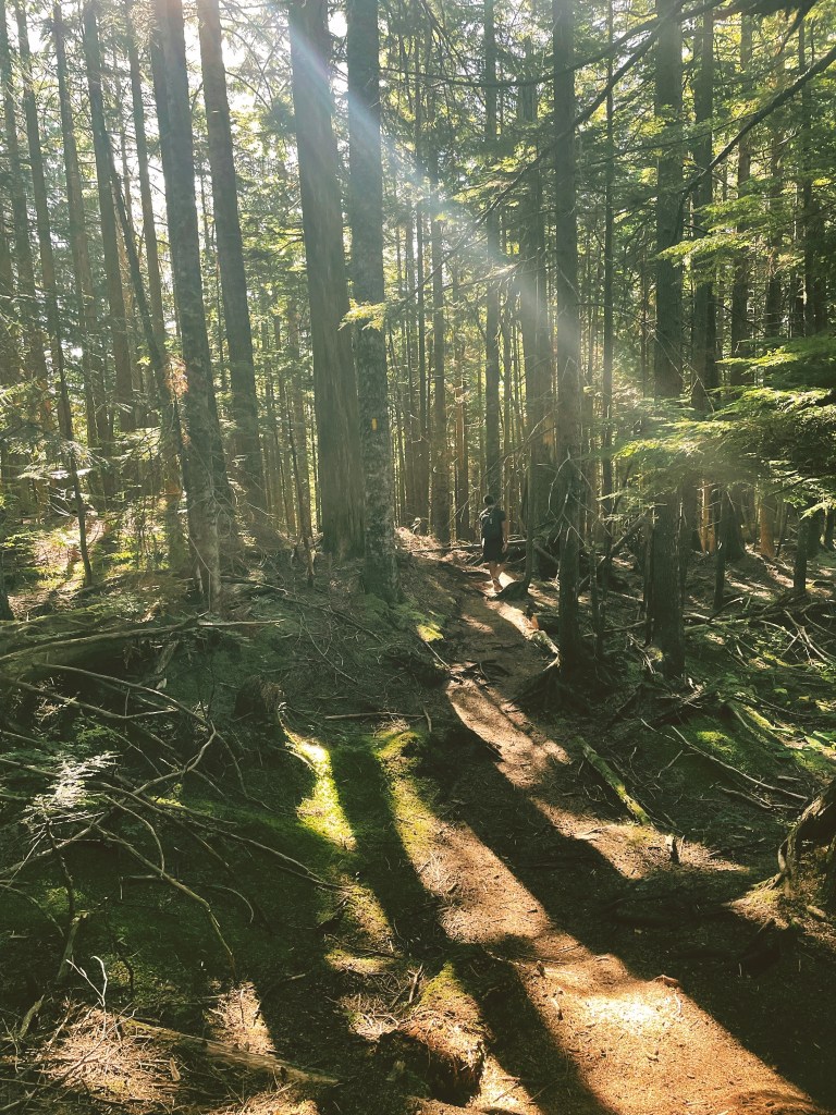 hike in Vancouver British Columbia Coquitlam Lake View Canada forest walk