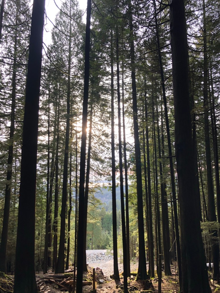 hike in vancouver British Columbia Grouse Mountain